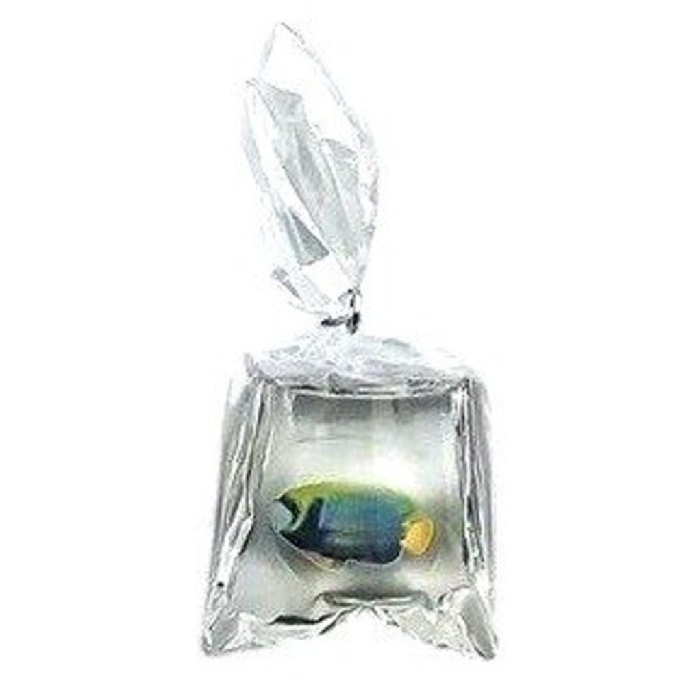 Boutique Fish In A Bag Necklace 18" Blue Yellow Leather‎ Cord Weirdcore Y2K